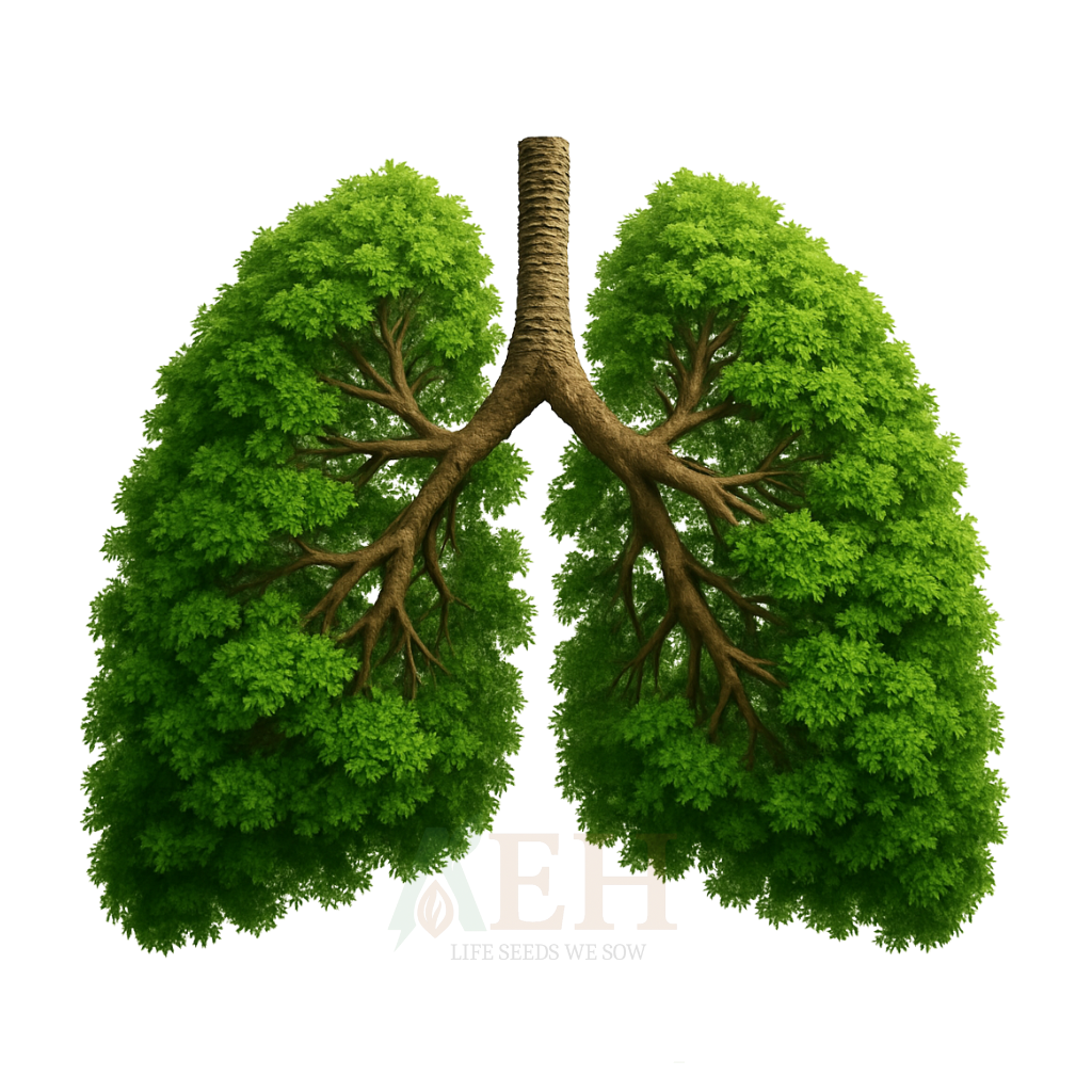 Breathe Better