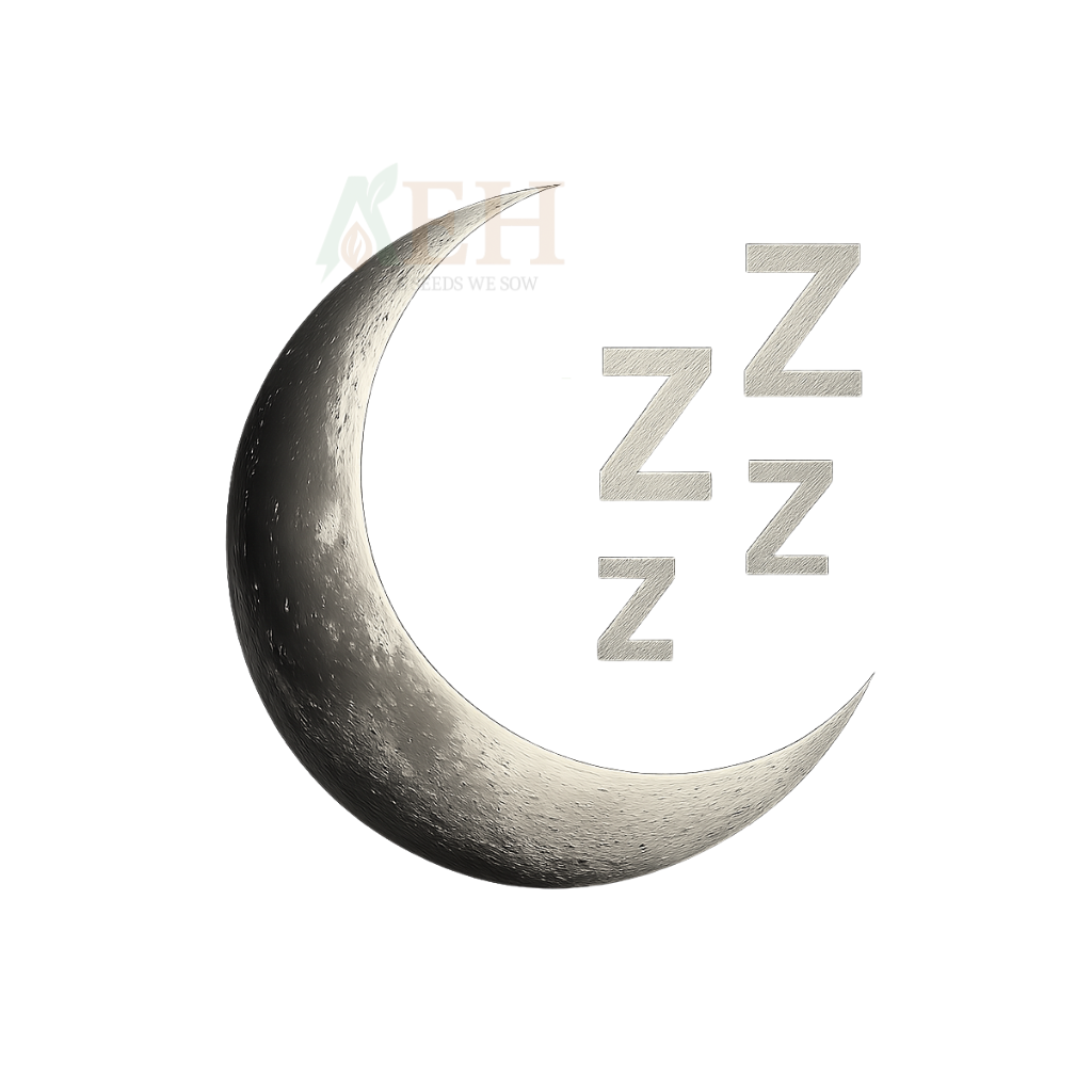 Deep Sleep & Rest