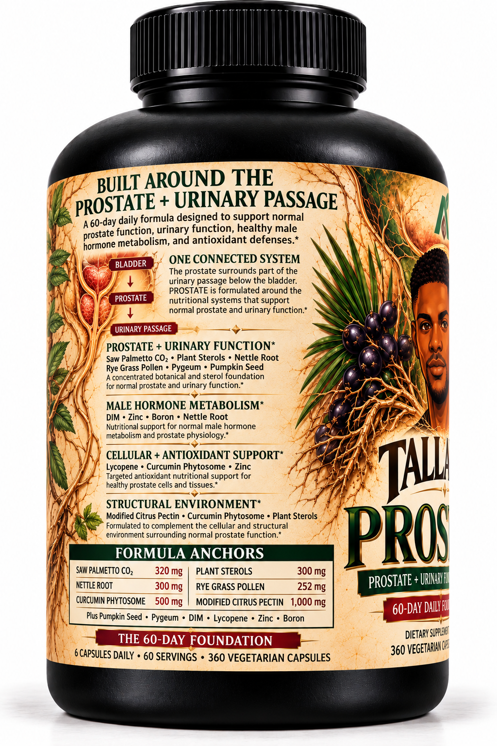 PROSTATE