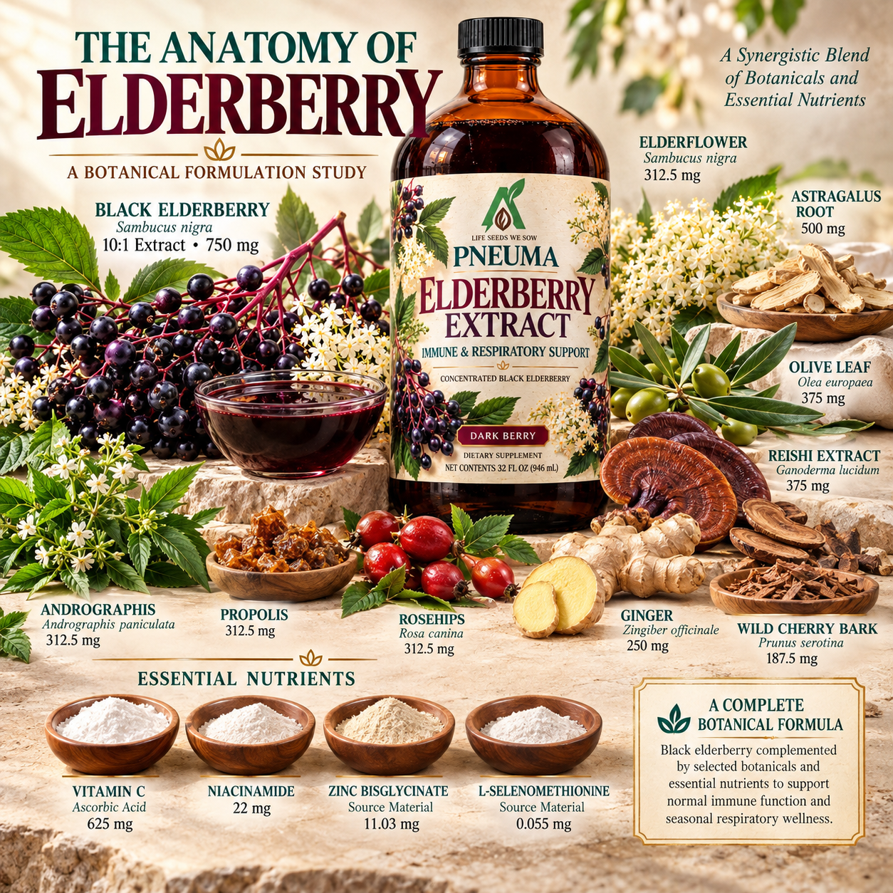 ELDERBERRY EXTRACT