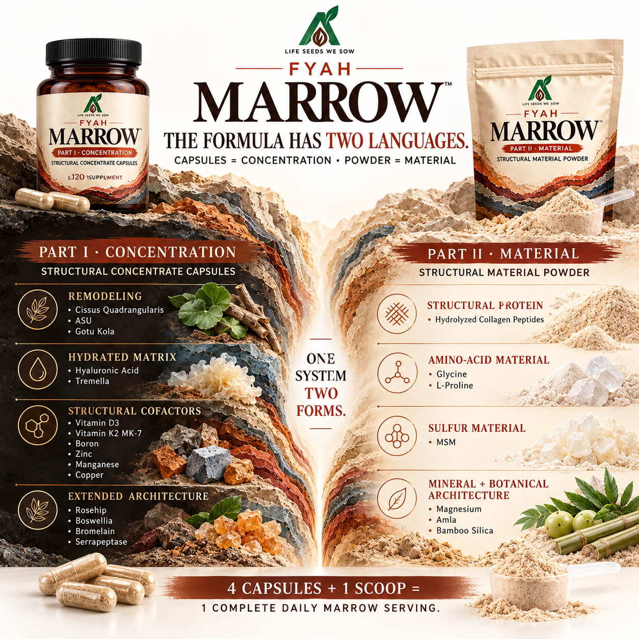 MARROW