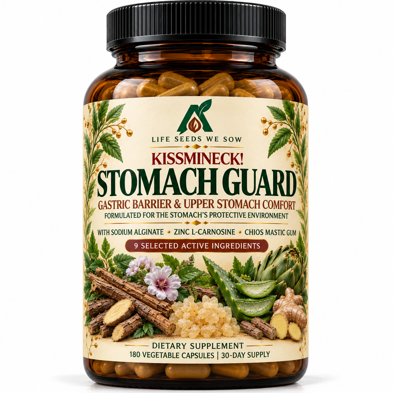 STOMACH GUARD