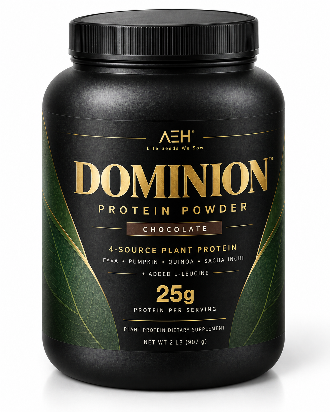 PROTEIN POWDER