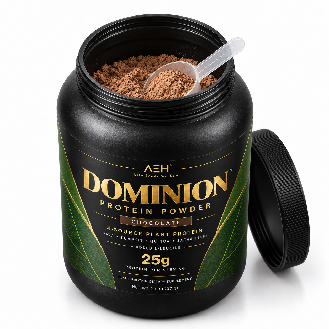PROTEIN POWDER