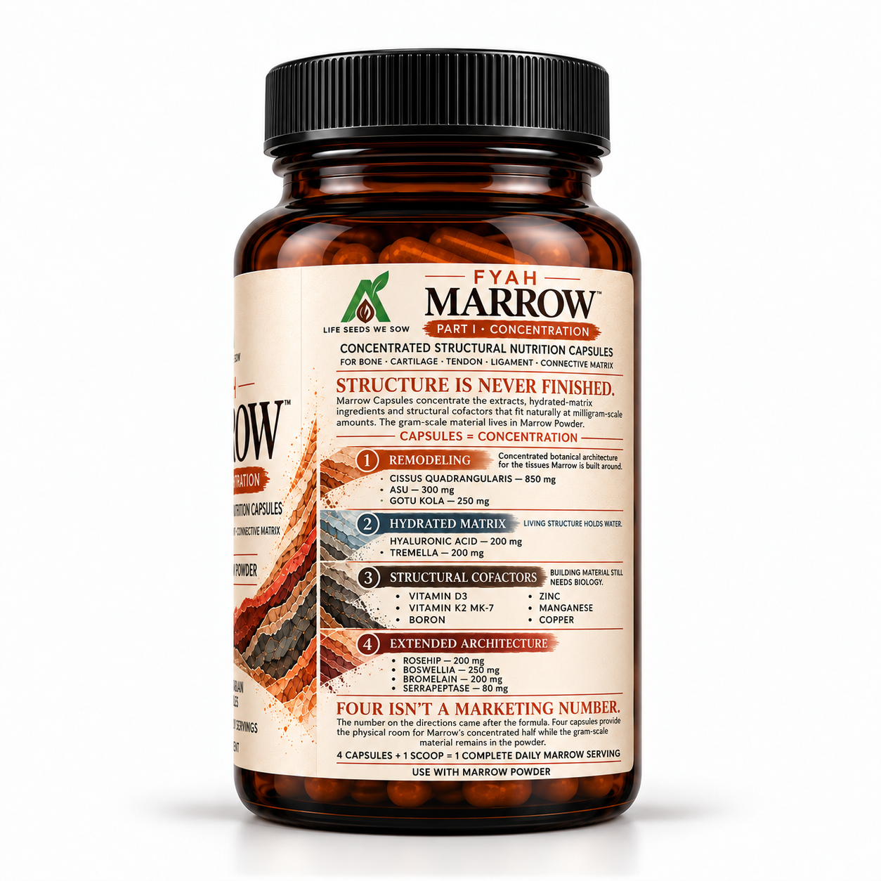 MARROW