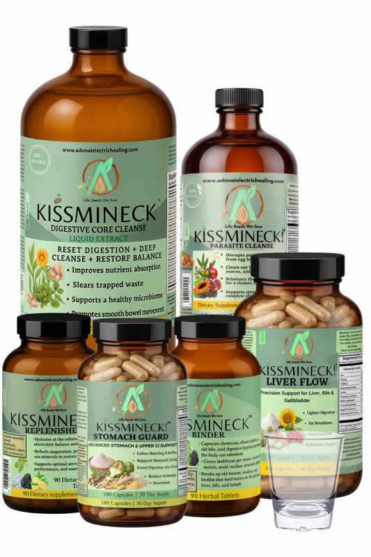 KISSMINECK Total Digestive Reset