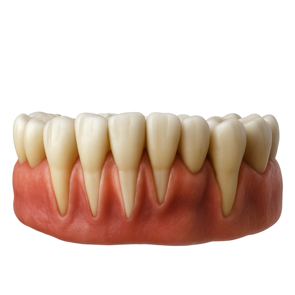 Teeth